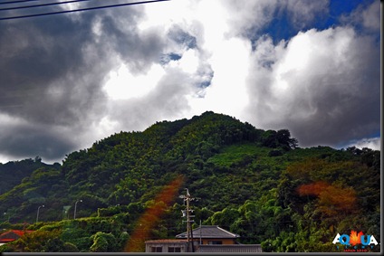 DSC_0101 DSC_0101