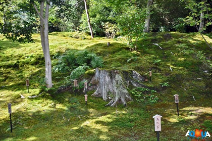 DSC_0241 DSC_0241