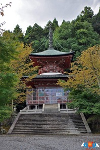 DSC_0117 DSC_0117