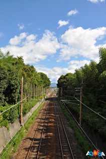 DSC_0306 DSC_0306