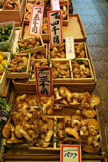 nishiki_market_matsutake_19