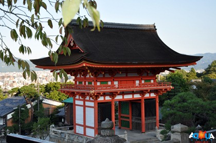 DSC_0793 DSC_0793