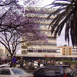 ktda, nairobi