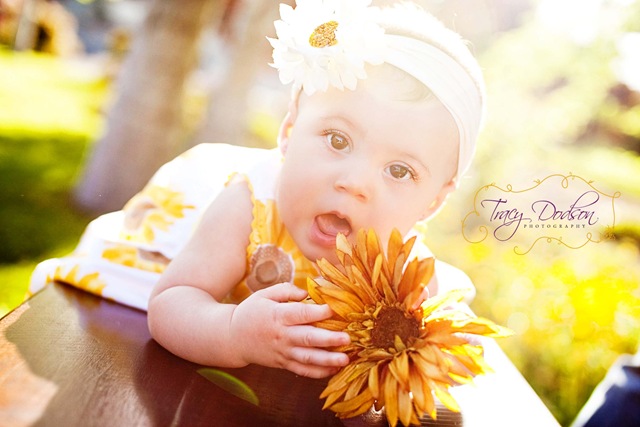 [6 Month Baby Tracy Dodson PHotography_006[3].jpg]