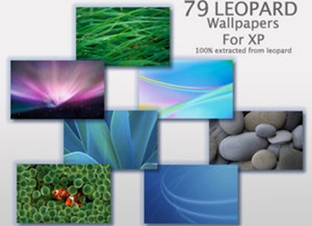 79_Leopard_Wallpaper_for_XP_by_nobodyuse