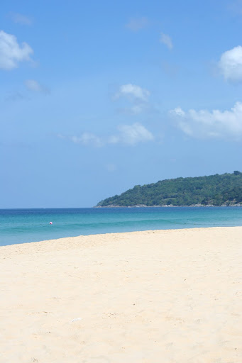 a sandy beach with a hill in the background