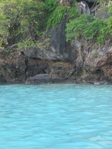 a body of water with trees and rocks