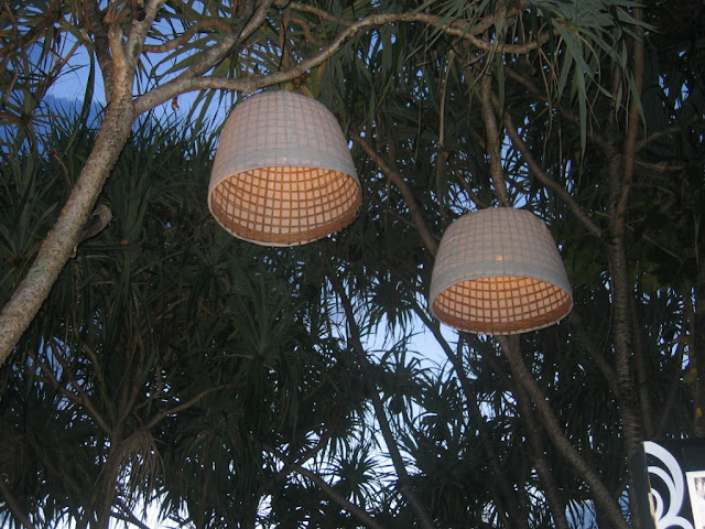 a group of lamps from a tree