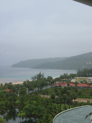 a beach with trees and buildings