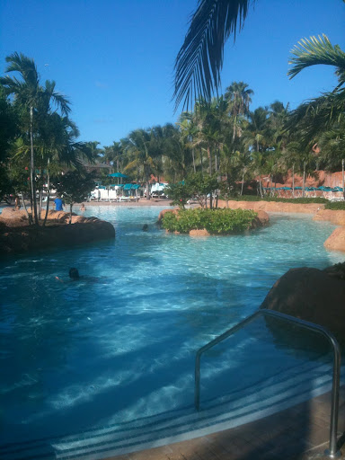 a pool with palm trees and people swimming in it