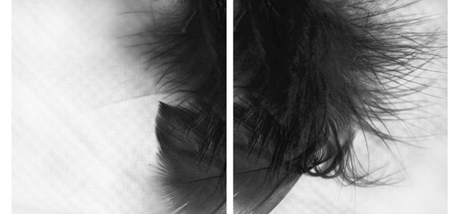 [feather pillow dip[3].jpg]