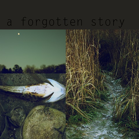 [a forgotten story[2].jpg]