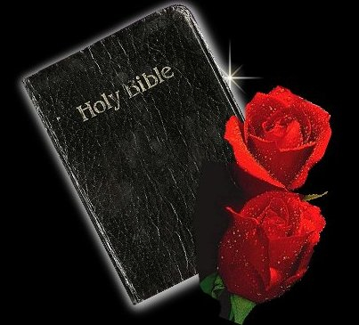 bibleandredroses.CMYY6bX5r1Xj.jpg