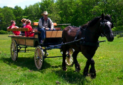 cloverwagon1.tYFFpTi3hPIw.jpg