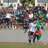 IMG_9021.jpg