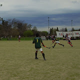 P5160009.JPG