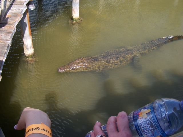[Cruise 2009 024.jpg]