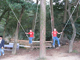 swinging at a recreation farm