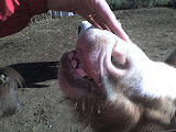 DSC00053.JPG