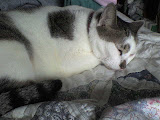 DSC00015.JPG