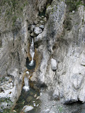 IMG_3986.JPG