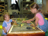 Nebraska State Museum