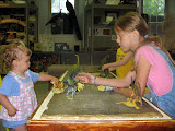 Nebraska State Museum