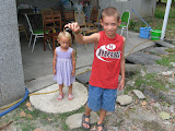 IMG_4331.JPG