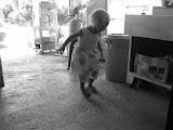IMG_4411.JPG