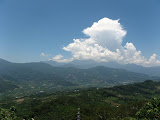 IMG_4421.JPG