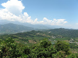 IMG_4423.JPG