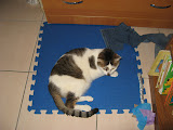 IMG_1484.JPG