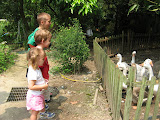 IMG_1962.JPG