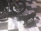 DSC00381.JPG