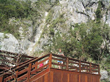 IMG_1186.JPG