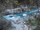 IMG_1213.JPG