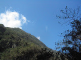 IMG_1231.JPG