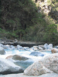 IMG_1236_r1.JPG