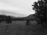 IMG_1329.JPG