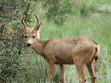 IMG_1259.JPG