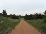 IMG_1343.JPG