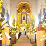2010-01-29-ane-e-magno-19.jpg