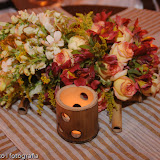 2010-01-29-ane-e-magno-344.jpg