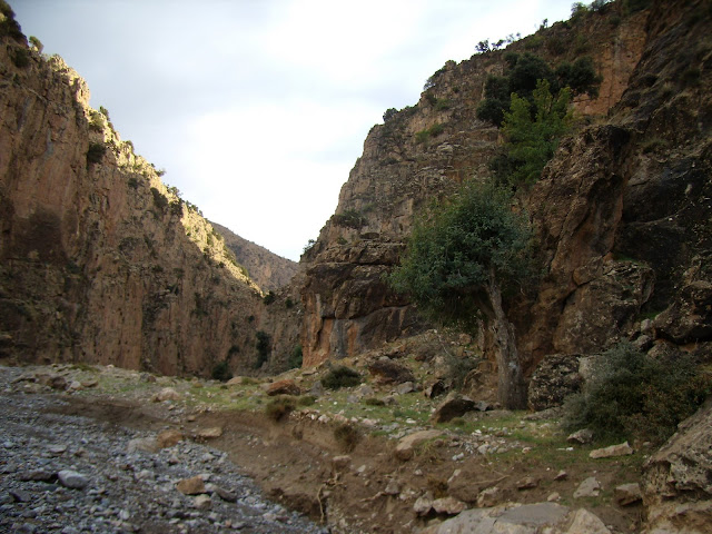 PA090098.JPG