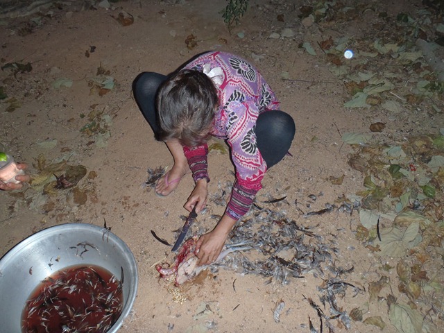 [PB2501562.jpg]