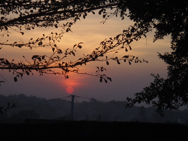[PB2501482.jpg]