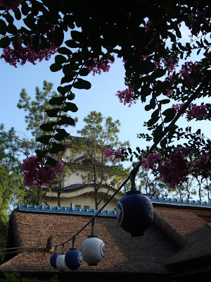 DSC00584.JPG