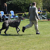 IMG_5606.JPG