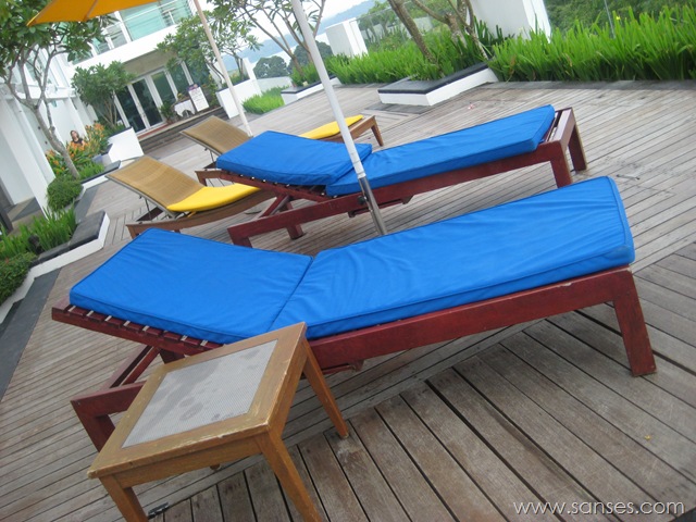 [IMG_43132.jpg]