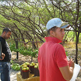 Fermin buying mangos from the side of the road.
